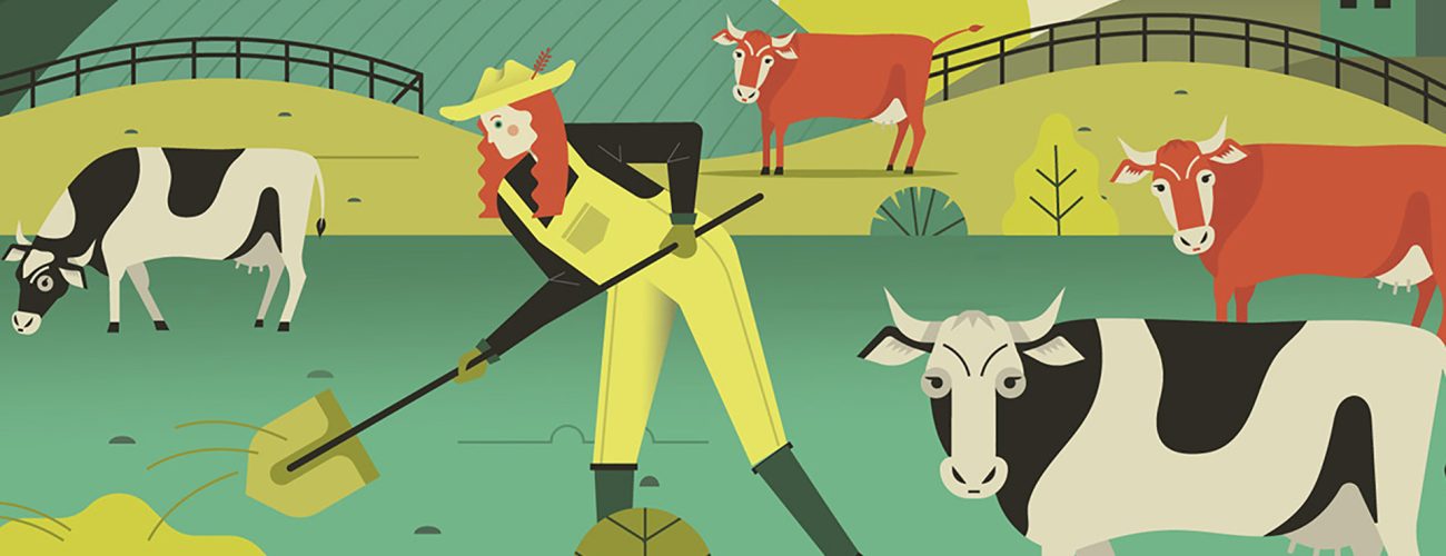 Pistacho Studio, servicios de diseño gráfico en Castellón. Diseño para la mejora de el sector ganadero.